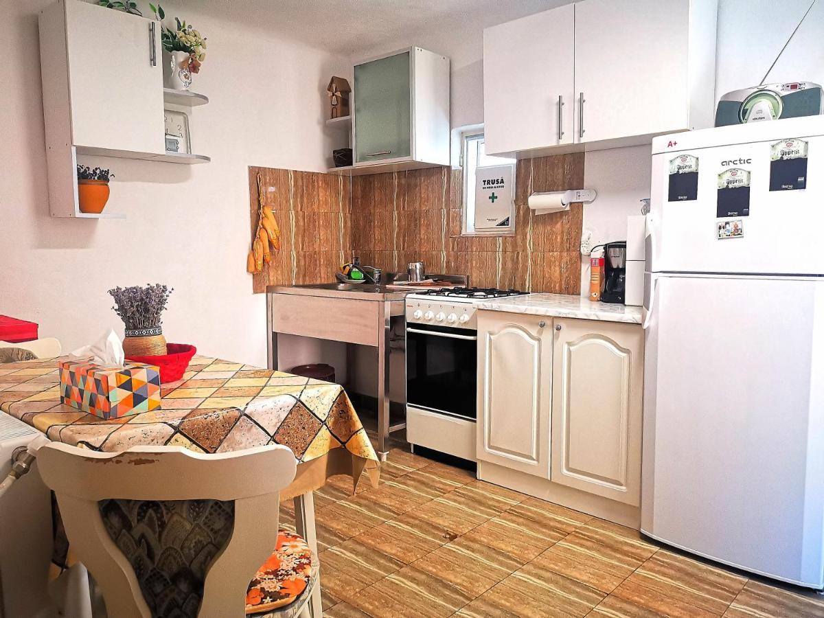Casa Petrescu Βίλα Curtea de Argeş Εξωτερικό φωτογραφία